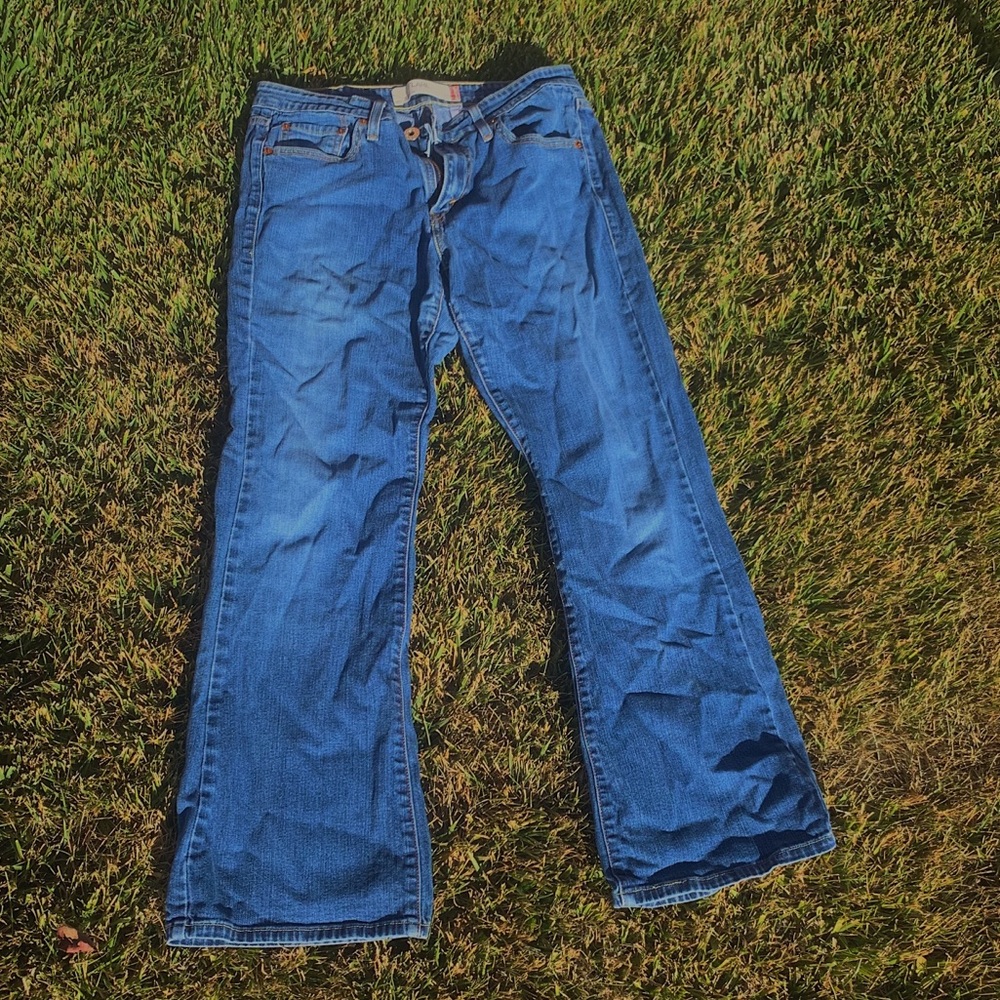VINTAGE LEVI 519 pants